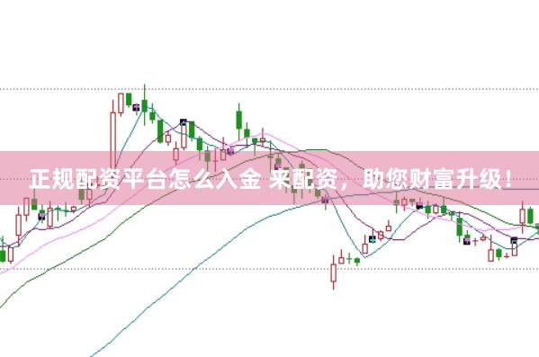 正规配资平台怎么入金 来配资,助您财富升级!