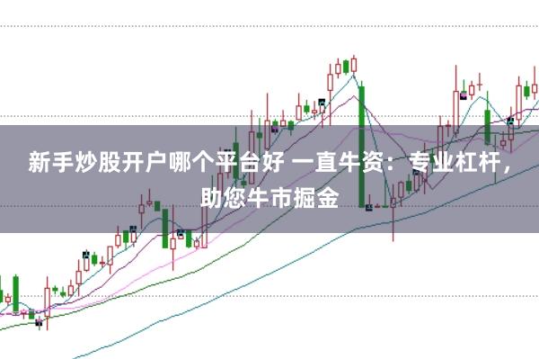 新手炒股开户哪个平台好 一直牛资：专业杠杆，助您牛市掘金