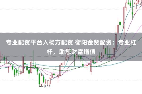 专业配资平台入杨方配资 衡阳金赀配资：专业杠杆，助您财富增值