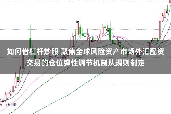 如何借杠杆炒股 聚焦全球风险资产市场外汇配资交易的仓位弹性调节机制从规则制定
