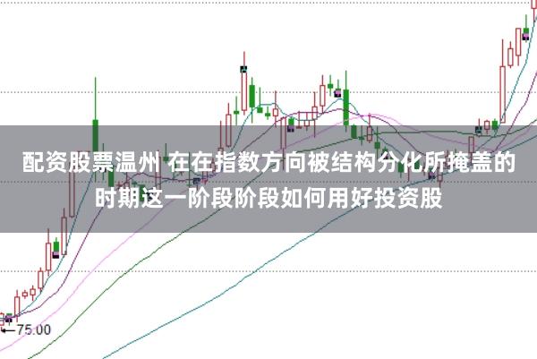 配资股票温州 在在指数方向被结构分化所掩盖的时期这一阶段阶段如何用好投资股