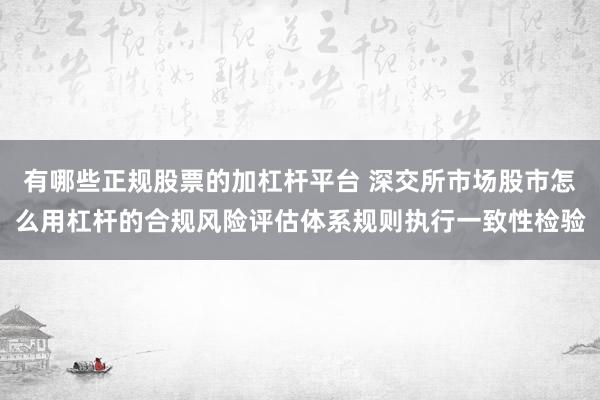有哪些正规股票的加杠杆平台 深交所市场股市怎么用杠杆的合规风险评估体系规则执行一致性检验