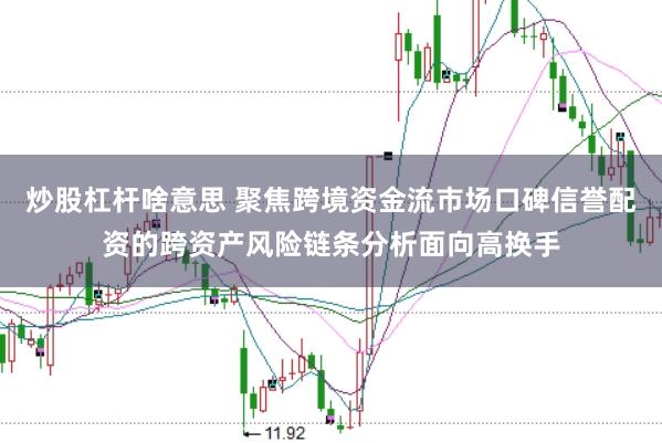 炒股杠杆啥意思 聚焦跨境资金流市场口碑信誉配资的跨资产风险链条分析面向高换手