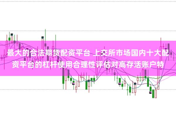 最大的合法期货配资平台 上交所市场国内十大配资平台的杠杆使用合理性评估对高存活账户特