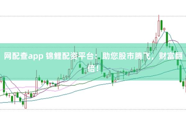 网配查app 锦鲤配资平台：助您股市腾飞，财富翻倍！
