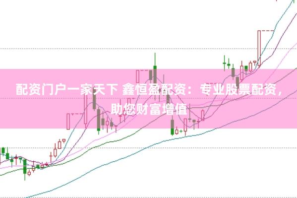 配资门户一家天下 鑫恒盈配资：专业股票配资，助您财富增值