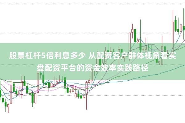 股票杠杆5倍利息多少 从配资客户群体视角看实盘配资平台的资金效率实践路径