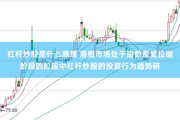 杠杆炒股是什么原理 港股市场处于指数反复拉锯阶段的阶段中杠杆炒股的投资行为趋势研