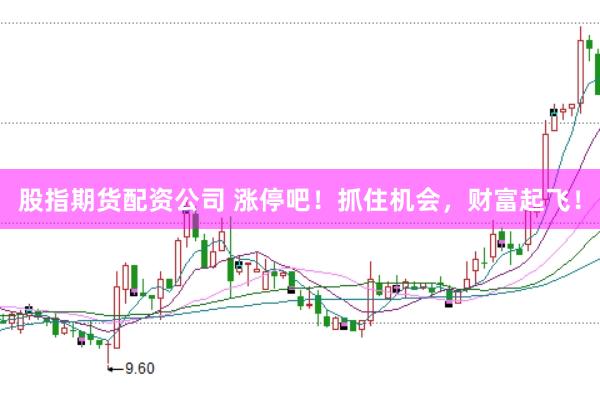 股指期货配资公司 涨停吧！抓住机会，财富起飞！