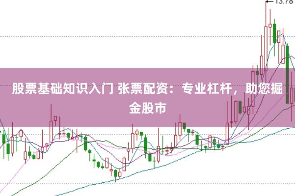 股票基础知识入门 张票配资：专业杠杆，助您掘金股市