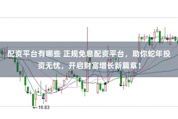 配资平台有哪些 正规免息配资平台，助你蛇年投资无忧，开启财富增长新篇章！