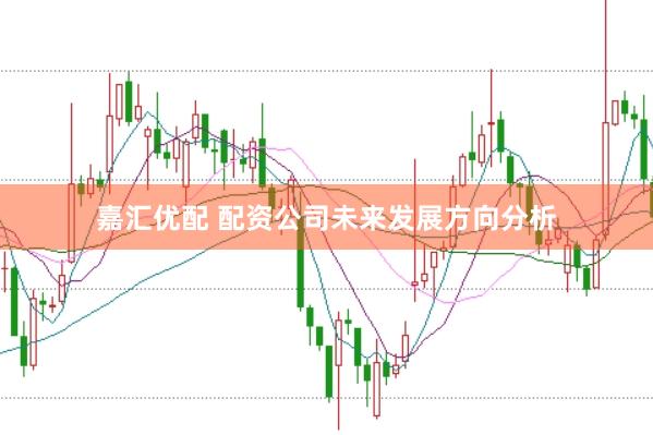 嘉汇优配 配资公司未来发展方向分析