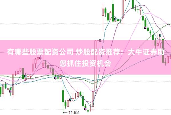 有哪些股票配资公司 炒股配资推荐：大牛证券助您抓住投资机会