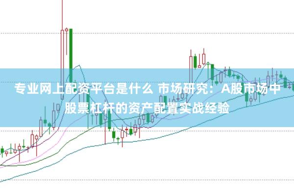 专业网上配资平台是什么 市场研究：A股市场中股票杠杆的资产配置实战经验