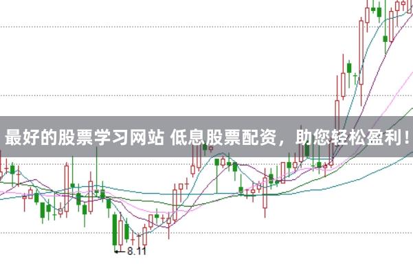 最好的股票学习网站 低息股票配资，助您轻松盈利！
